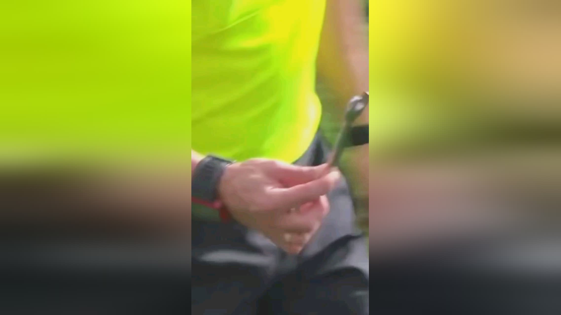 他们希望通